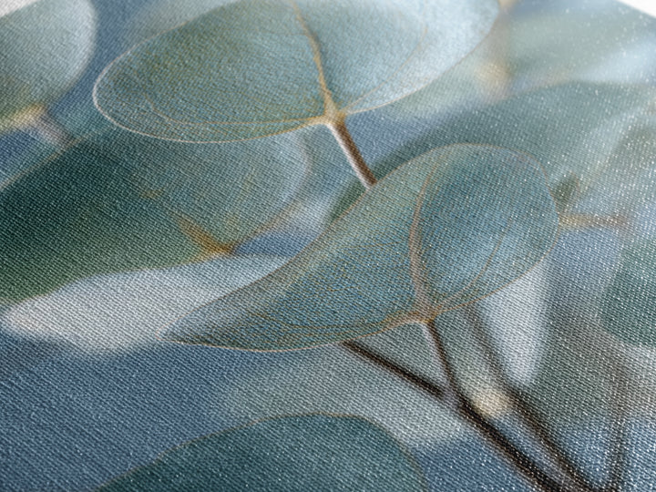 Botanical Eucalyptus Branch Framed Canvas Print, Medical Office Art, Medical Office Decor, Office Decor, Fine Art, Calm, MOA-2x3-83