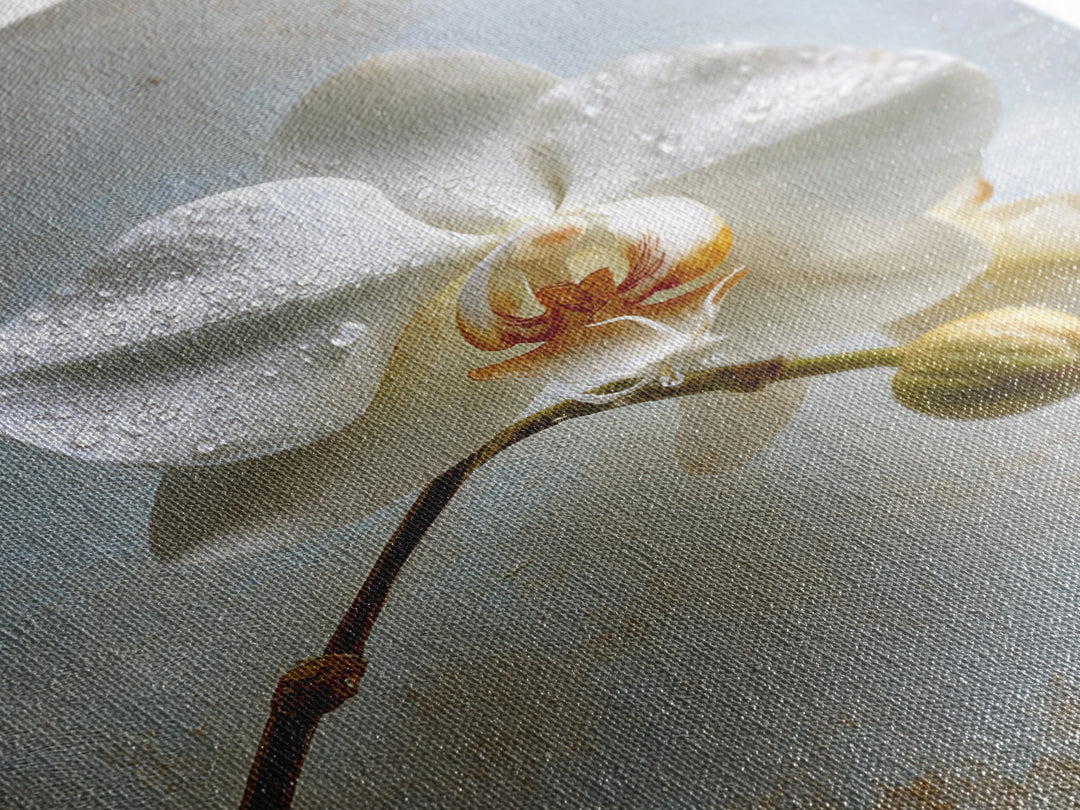 White Orchid on Gray Stone Surface Canvas Print, Medical Office Art, Digital Wall Art, Office Decor, Calm, Healthcare Wall Art, MOA-2x3-86
