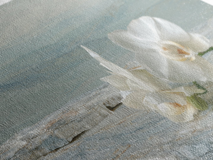 White Orchid on Gray Stone Surface Framed Canvas Print, Medical Office Art, Animal Art, Office Decor, Fine Art, Calm, MOA-3x2-10