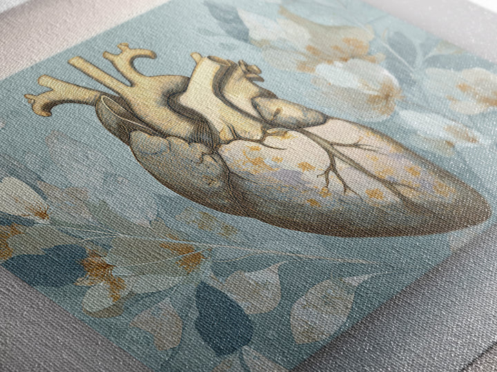Anatomical Heart Rendered as Tasteful Botanical Art Canvas Print, Medical Office Art, Anatomy Wall Art, Office Decor, Calm, MOA-3x2-17