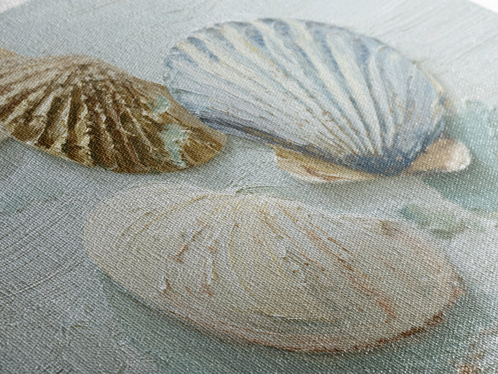 Coastal Shells and Water Study Framed Canvas Print, Medical Office Art, Medical Decor, Office Decor, Calm, Science Art, MOA-3x2-24