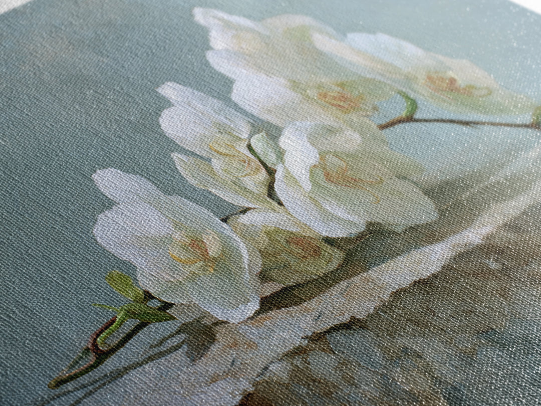 White Orchid on Gray Stone Surface Canvas Print, Medical Office Art, Brain Poster, Office Decor, Fine Art, Calm, Medical School, MOA-3x2-34