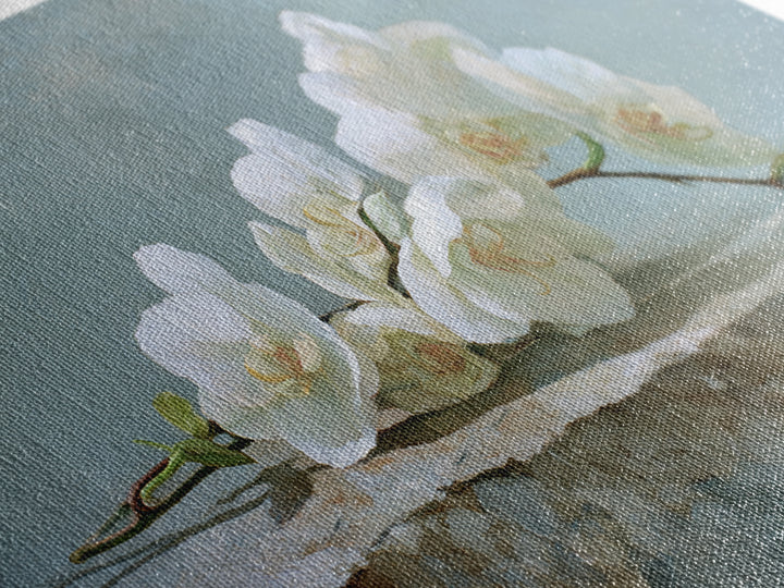 White Orchid on Gray Stone Surface Canvas Print, Medical Office Art, Brain Poster, Office Decor, Fine Art, Calm, Medical School, MOA-3x2-34