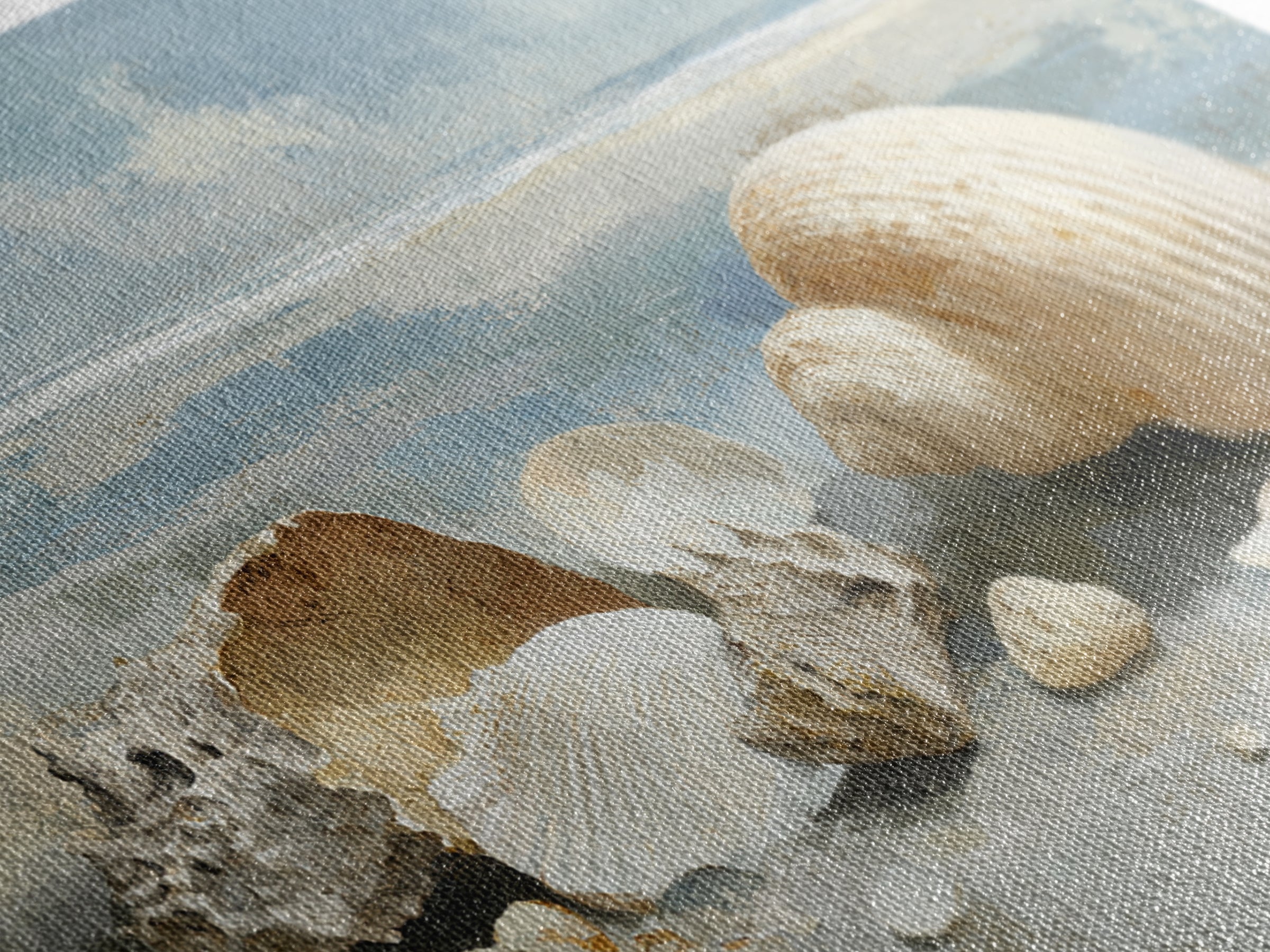 Coastal Shells and Water Study Canvas Print, Medical Office Art, Modern Decor, Office Decor, Fine Art, Calm, Home Decor, MOA-3x2-72