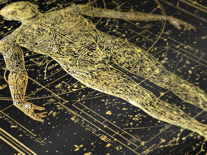 Vitruvian Human Anatomy Metallic Gold Metal Print, Sacred Geometry Wall Art, Celestial Body Illustration, Real Wood Frame Decor