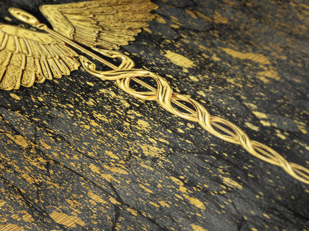 Caduceus Symbol Artwork, Ancient Mythological Medicine Emblem Decorative Wall Art, Metallic Gold Metal Print, Real Wood Frame