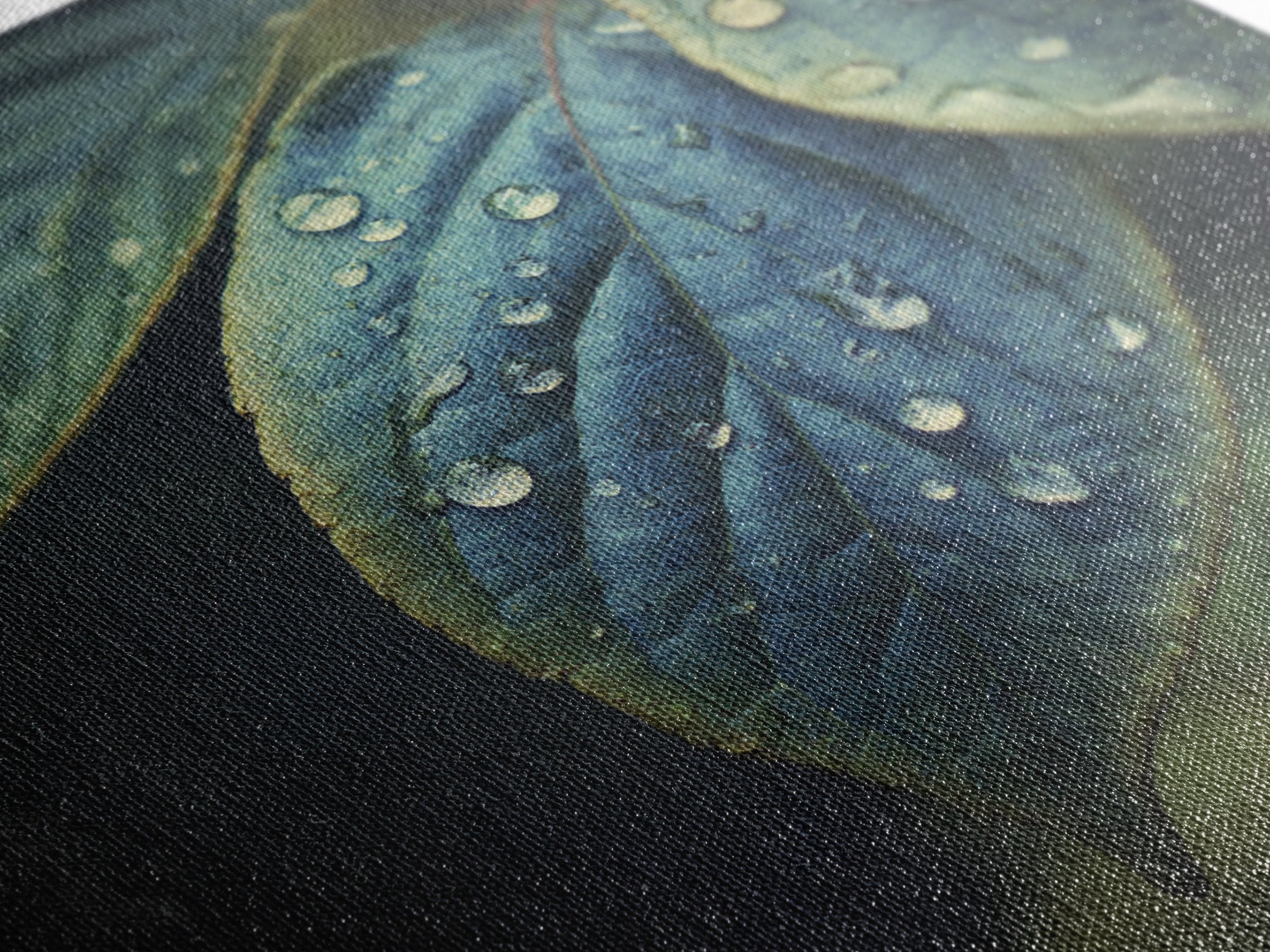 Rain Drops on a Large Green Leaf Framed Canvas Print, Nature Art, Statement Artwork, Living Room Decor, Fine Art, Nature, NAT-1x1-33