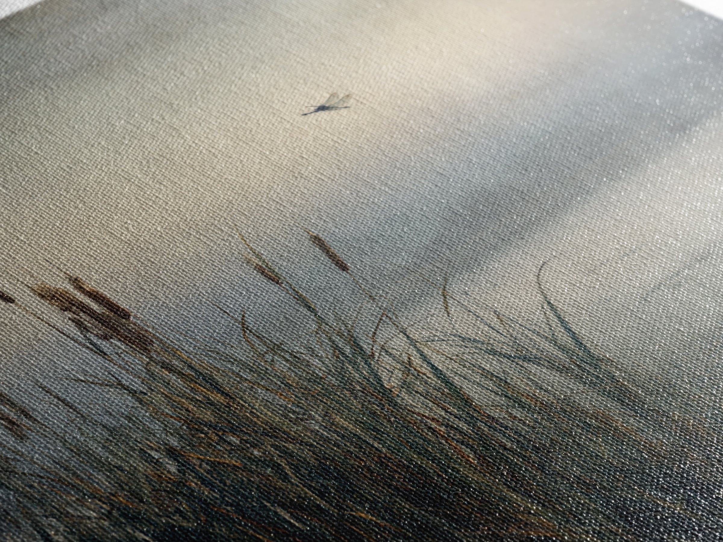 Dragonfly over a Pond with Reeds Canvas Print, Nature Art, Nature Wall Art, Living Room Decor, Fine Art, Nature, NAT-1x1-90