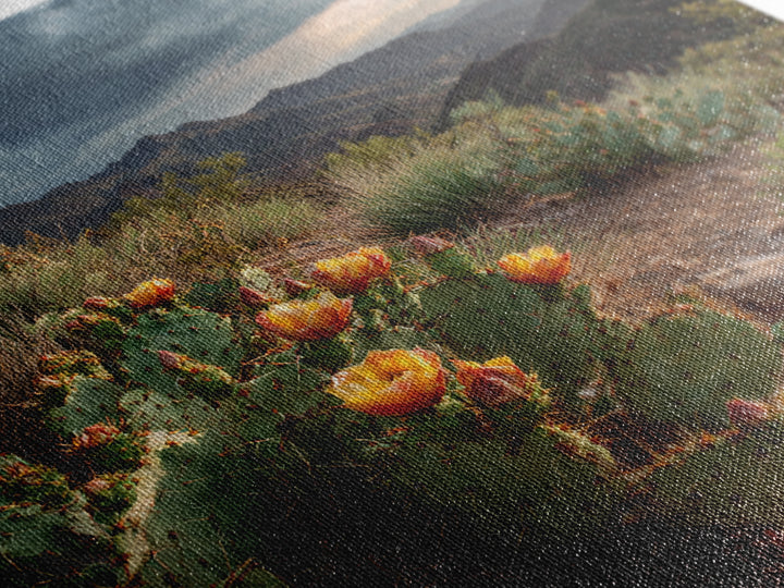 Desert Cactus Blooming After Rain Canvas Print, Nature Art, Nature Wall Art, Living Room Decor, Fine Art, Nature, NAT-1x1-92