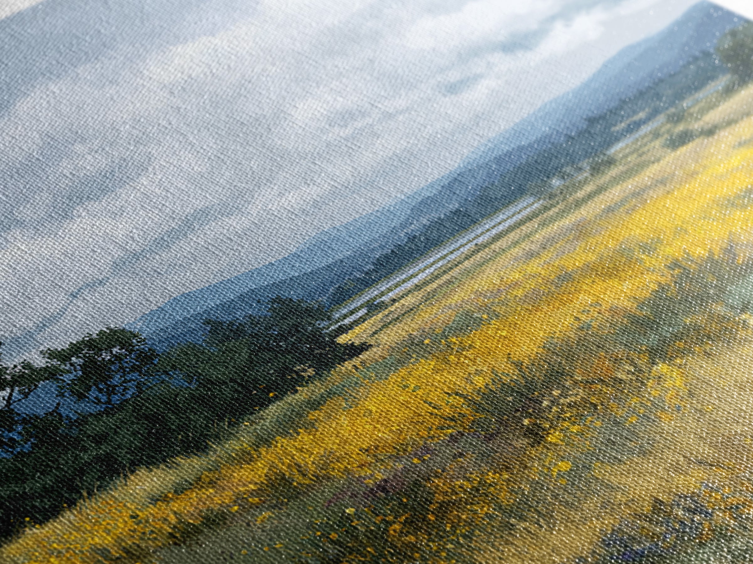 Wildflower Meadow under Soft Summer Sky Canvas Print, Nature Art, Boho Decor, Living Room Decor, Fine Art, Nature, Wall Decor, NAT-1x1-98