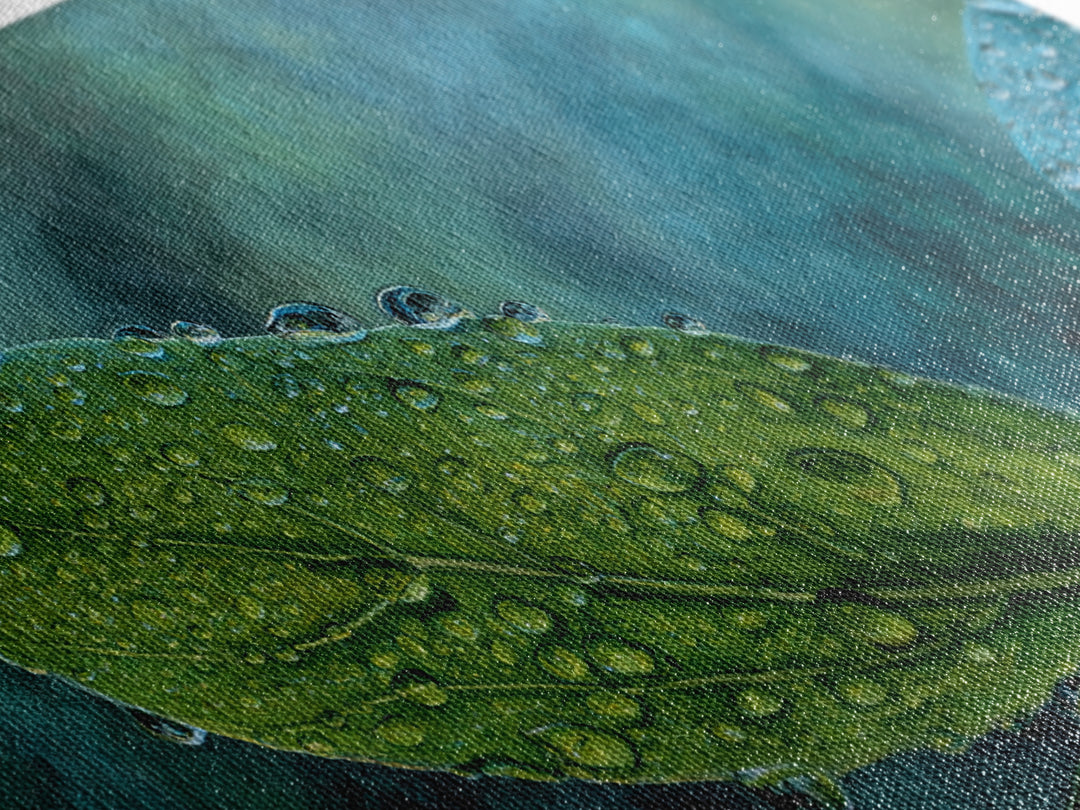 Rain Drops on a Large Green Leaf Canvas Print, Nature Art, Wall Hangings, Living Room Decor, Watercolor Art, Nature, NAT-2x1-77