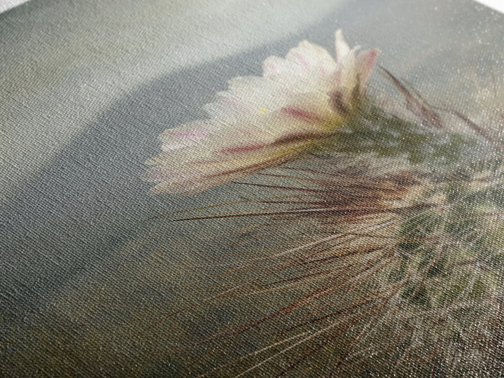 Desert Cactus Blooming After Rain Framed Canvas Print, Nature Art, Living Room Decor, Oil Painting, Nature, Ocean Art, NAT-2x3-28