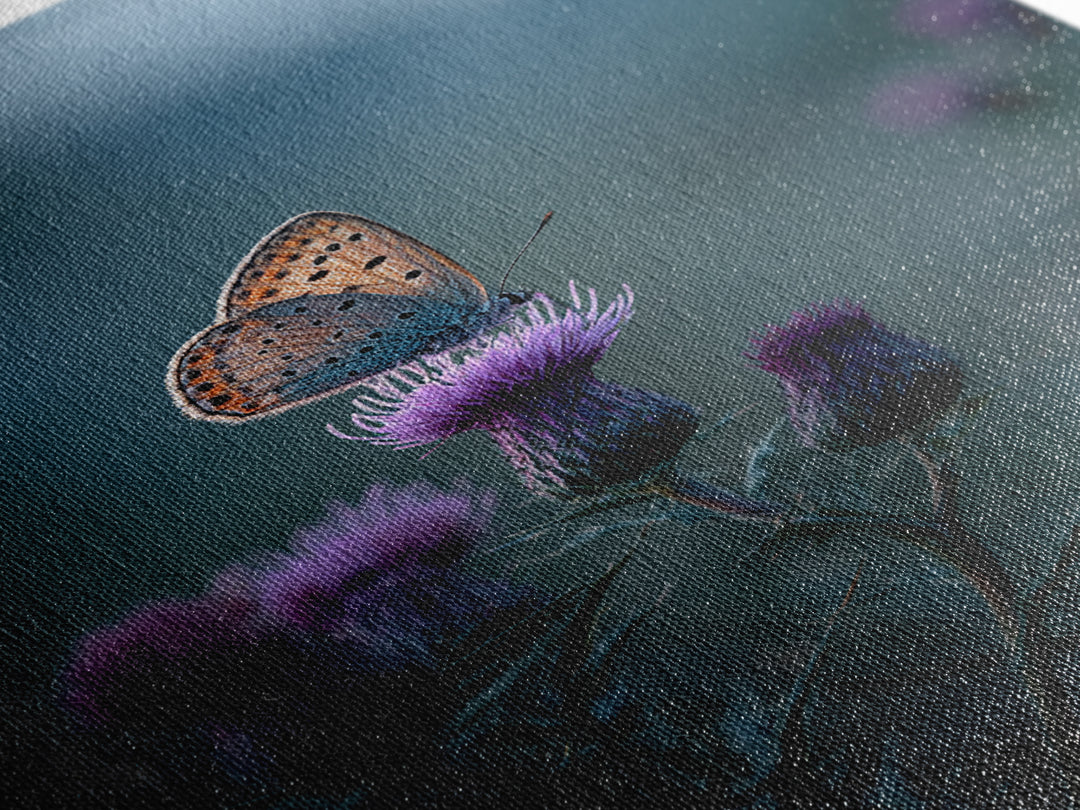 Butterfly Resting on a Blooming Thistle Framed Canvas Print, Nature Art, Landscape Art, Living Room Decor, Fine Art, Nature, NAT-2x3-84