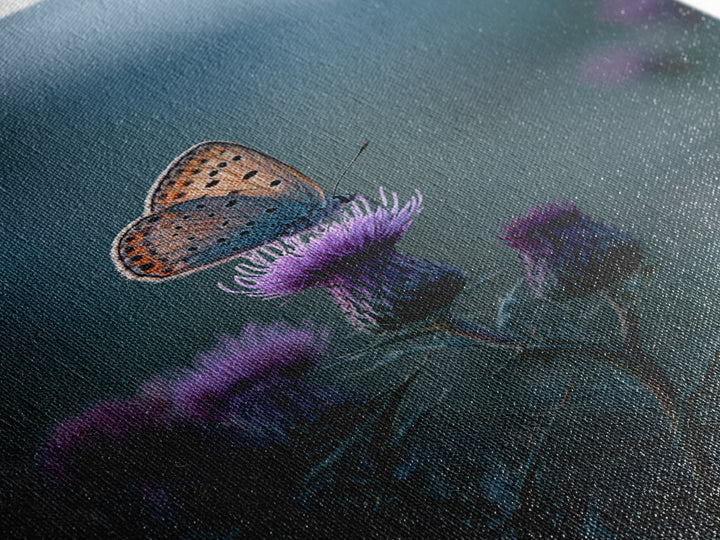 Butterfly Resting on a Blooming Thistle Framed Canvas Print, Nature Art, Landscape Art, Living Room Decor, Fine Art, Nature, NAT-2x3-84