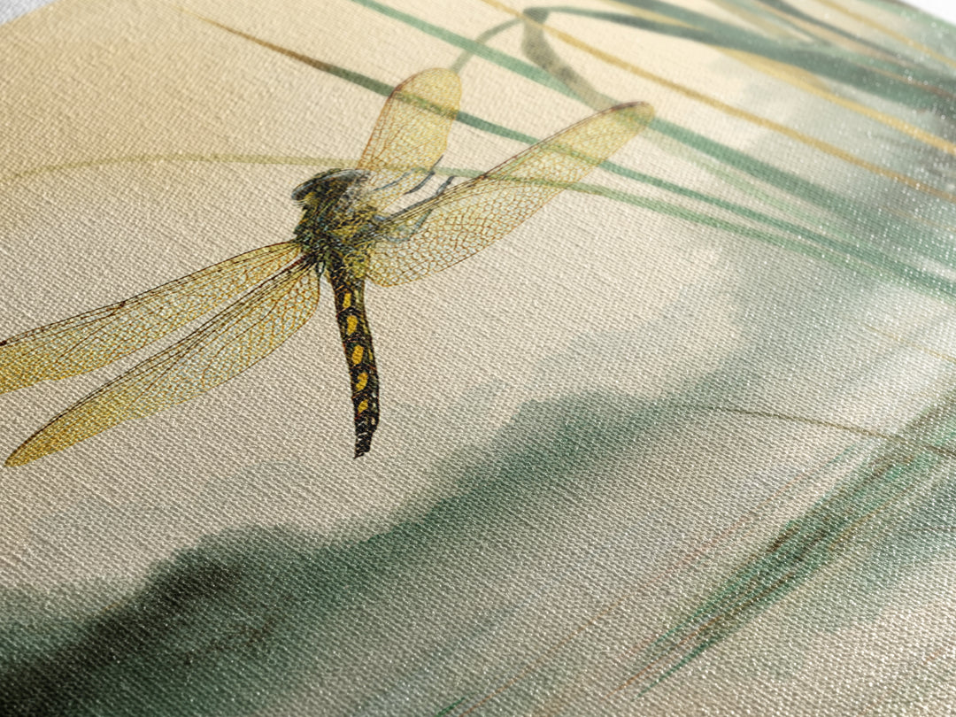 Dragonfly over a Pond with Reeds Framed Canvas Print, Nature Art, Art, Living Room Decor, Watercolor Art, Nature, 3d Wall Art, NAT-2x3-98