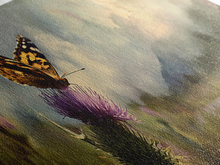 Butterfly Resting on a Blooming Thistle Canvas Print, Nature Art, Ocean Art, Living Room Decor, Fine Art, Nature, Art Print, NAT-3x1-20