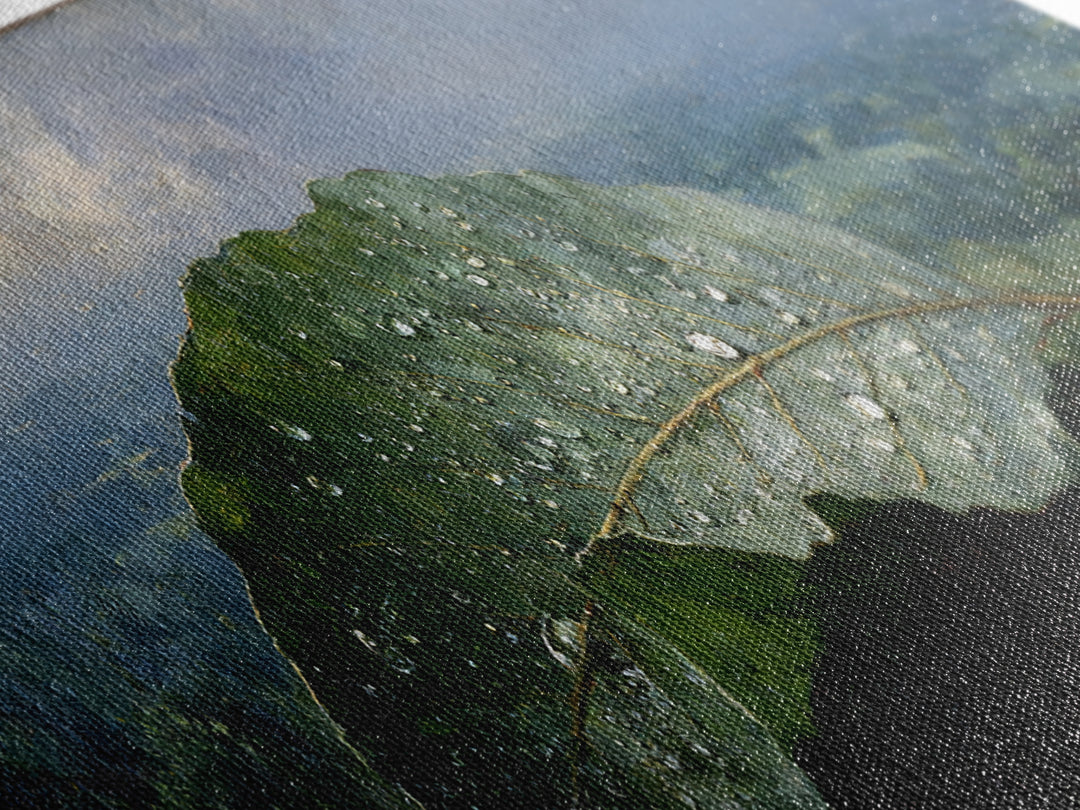 Rain Drops on a Large Green Leaf Canvas Print, Nature Art, Living Room Wall Art, Living Room Decor, Fine Art, Nature, NAT-3x1-49