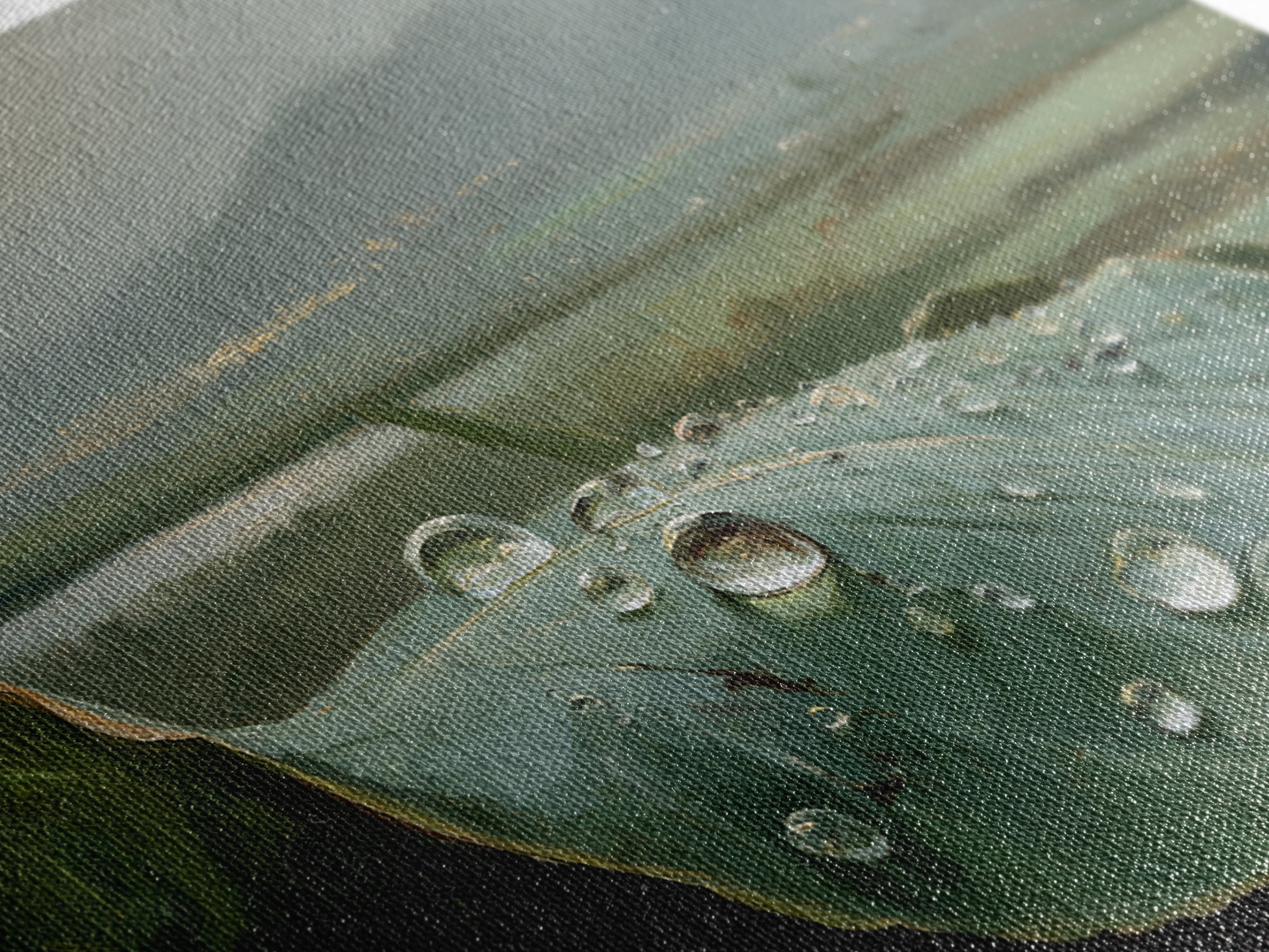 Rain Drops on a Large Green Leaf Framed Canvas Print, Nature Art, 3d Wall Art, Living Room Decor, Watercolor Art, Nature, NAT-3x2-13