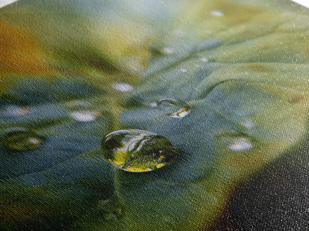 Rain Drops on a Large Green Leaf Canvas Print, Nature Art, Mountain Wall Art, Living Room Decor, Watercolor Art, Nature, NAT-3x2-61