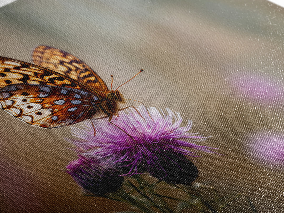 Butterfly Resting on a Blooming Thistle Framed Canvas Print, Nature Art, Framed Art, Living Room Decor, Oil Painting, Nature, NAT-3x2-8