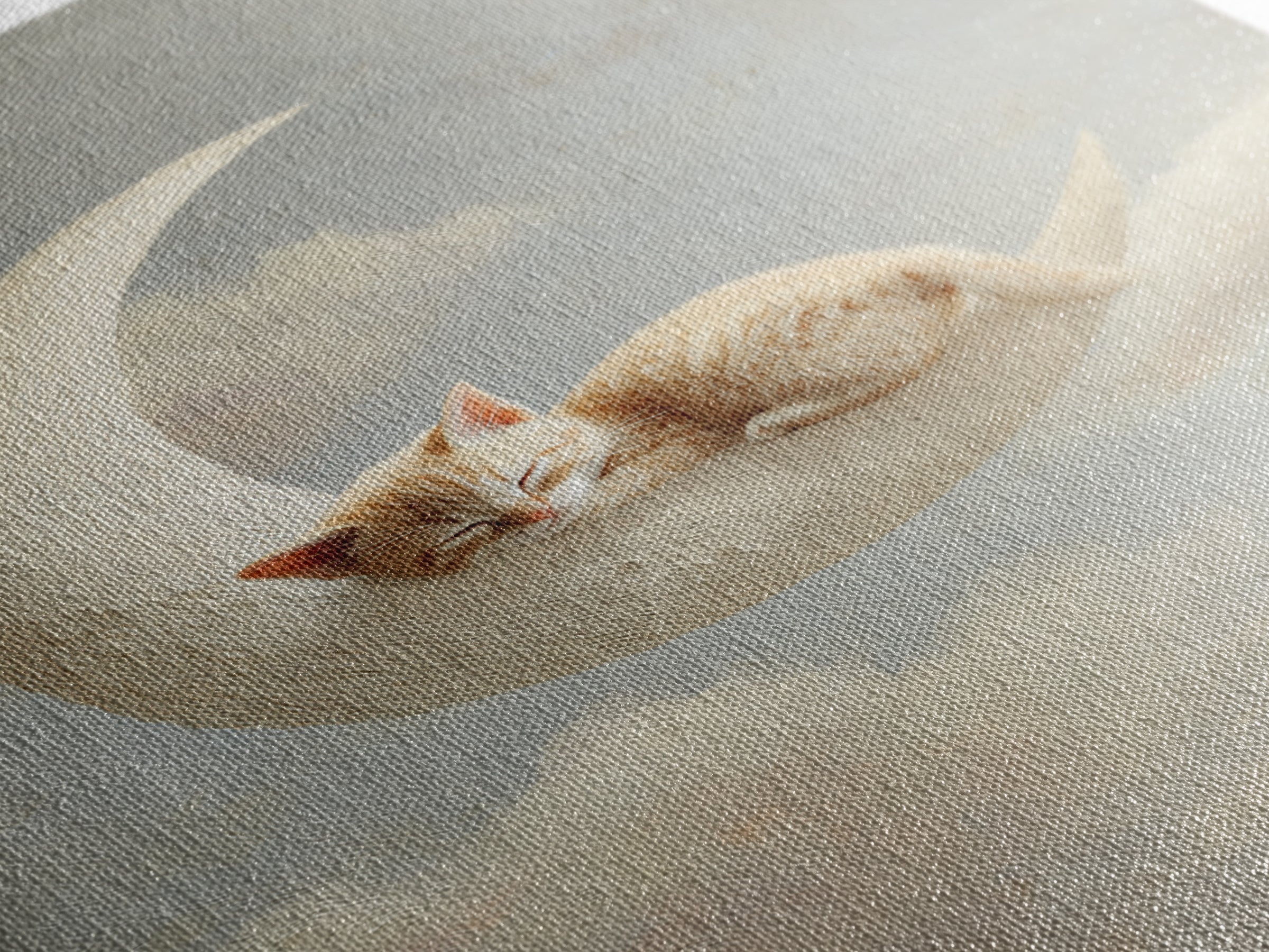 Sleeping Kitten on Crescent Moon Framed Canvas Print, Nursery Decor, Botanical Wall Art, Fine Art, Nursery, Neutral Decor, NDE-2x3-73