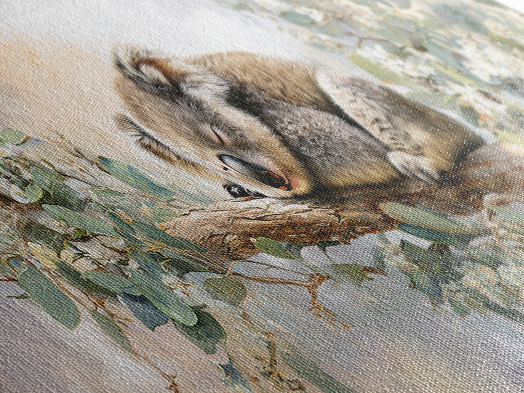 Sleeping Koala on Eucalyptus Branch Canvas Print, Nursery Art, Wall Art Set of 3, Nursery Decor, Nursery, Dinosaur Wall Art, NUR-3x1-29