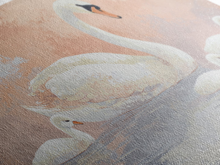 Swan and Cygnet Framed Canvas Print, Nursery Art, Wall Art Set of 3, Nursery Decor, Fine Art, Nursery, Dinosaur Wall Art, NUR-3x2-20