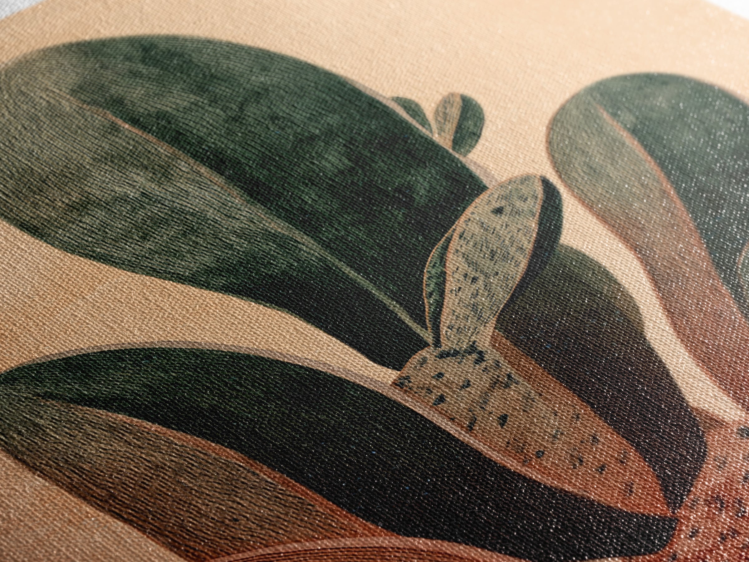 Desk Plant Botanical Closeup Framed Canvas Print, Office Art, Office Wall Art, Office Decor, Watercolor Art, Focus, OFF-2x3-24
