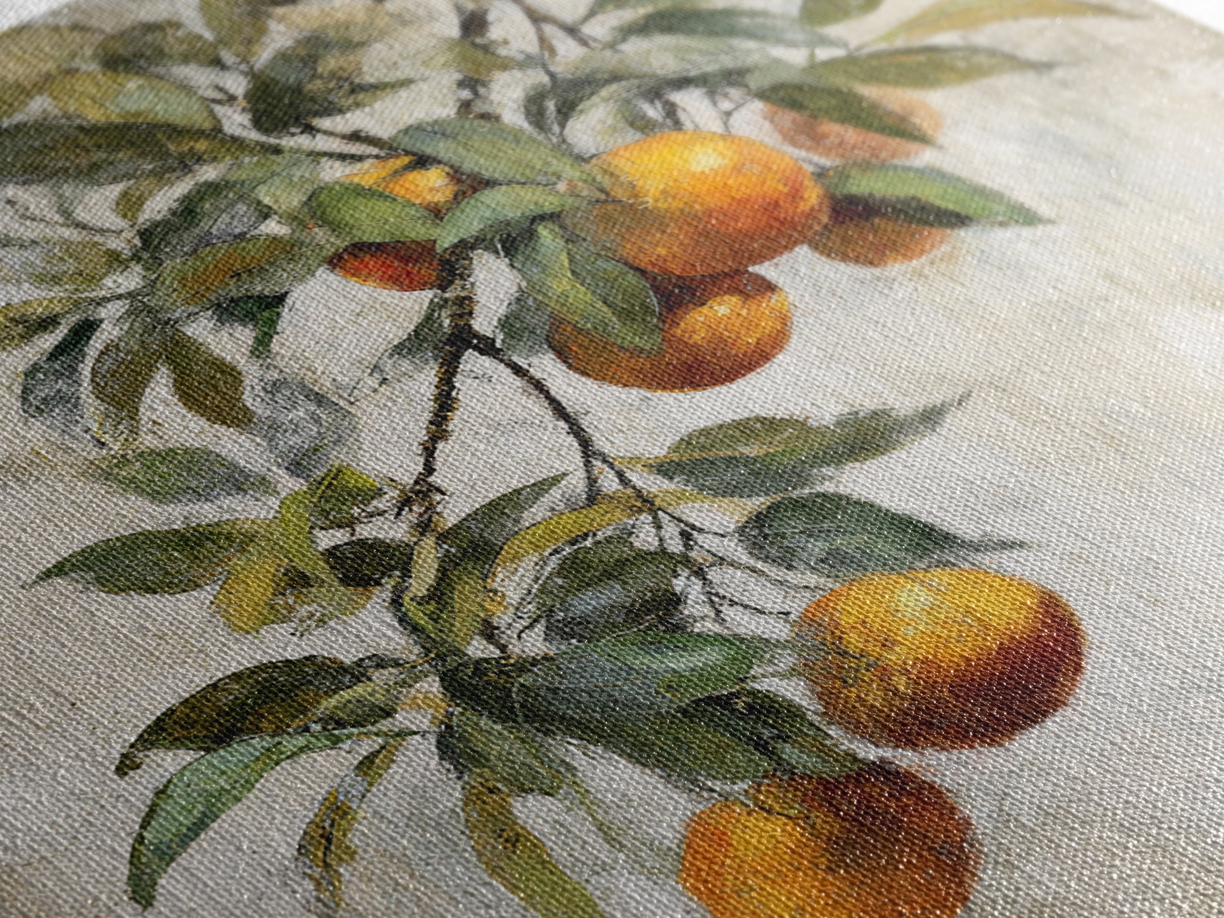 Orange Tree Branch Canvas Print, Patio Art, Coastal Wall Decor, Patio Decor, Fine Art, Outdoor, Gallery Decor, Neutral Decor, PAT-1x1-22