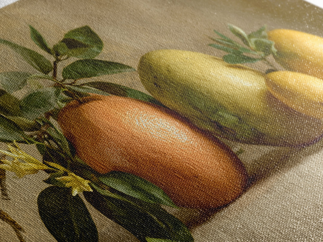 Outdoor Citrus Still Life Framed Canvas Print, Patio Art, Home Decor, Patio Decor, Fine Art, Outdoor, Floral Wall Art, PAT-2x1-1