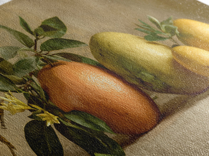 Outdoor Citrus Still Life Framed Canvas Print, Patio Art, Home Decor, Patio Decor, Fine Art, Outdoor, Floral Wall Art, PAT-2x1-1