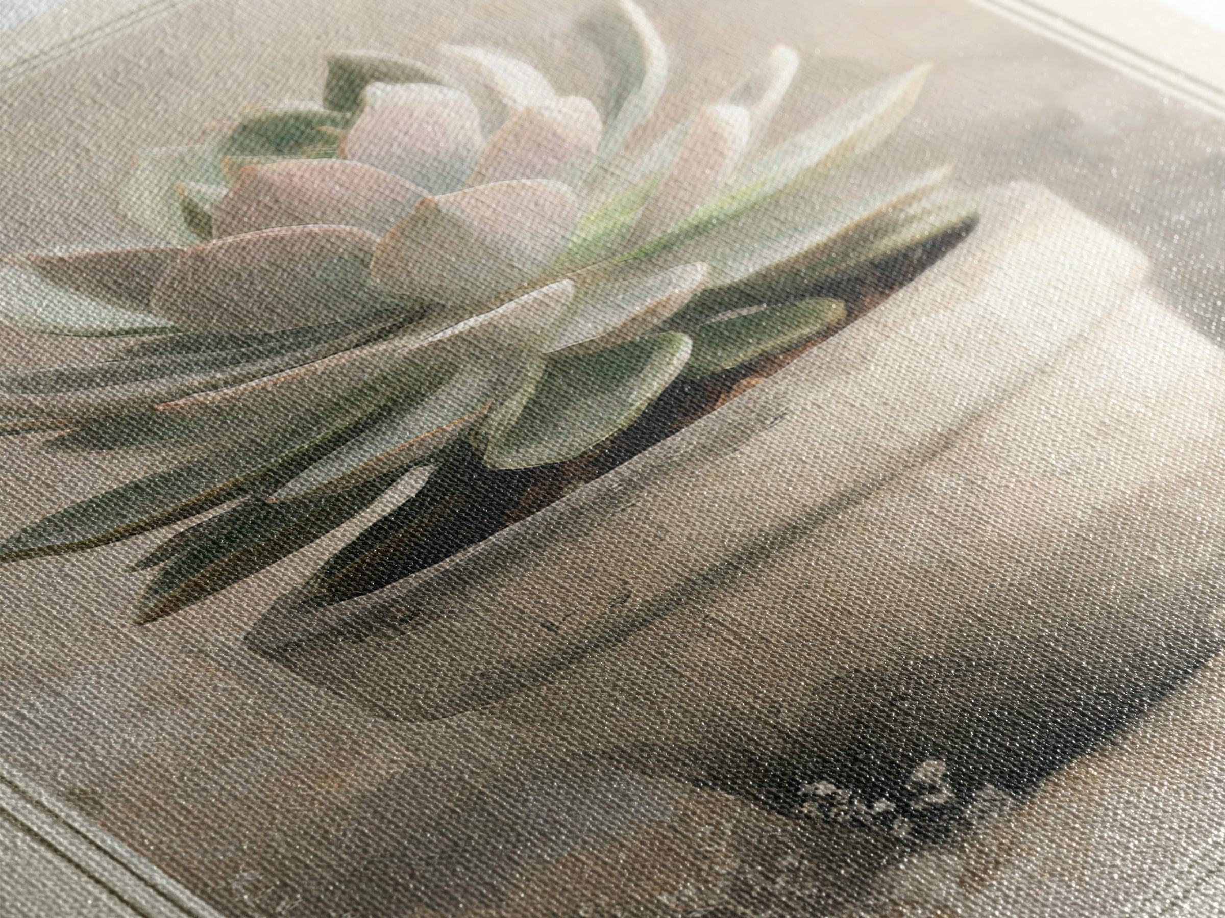 Succulent Collection in Ceramic Planters Framed Canvas Print, Patio Art, Garden Decor, Patio Decor, Oil Painting, Outdoor, PAT-2x3-53