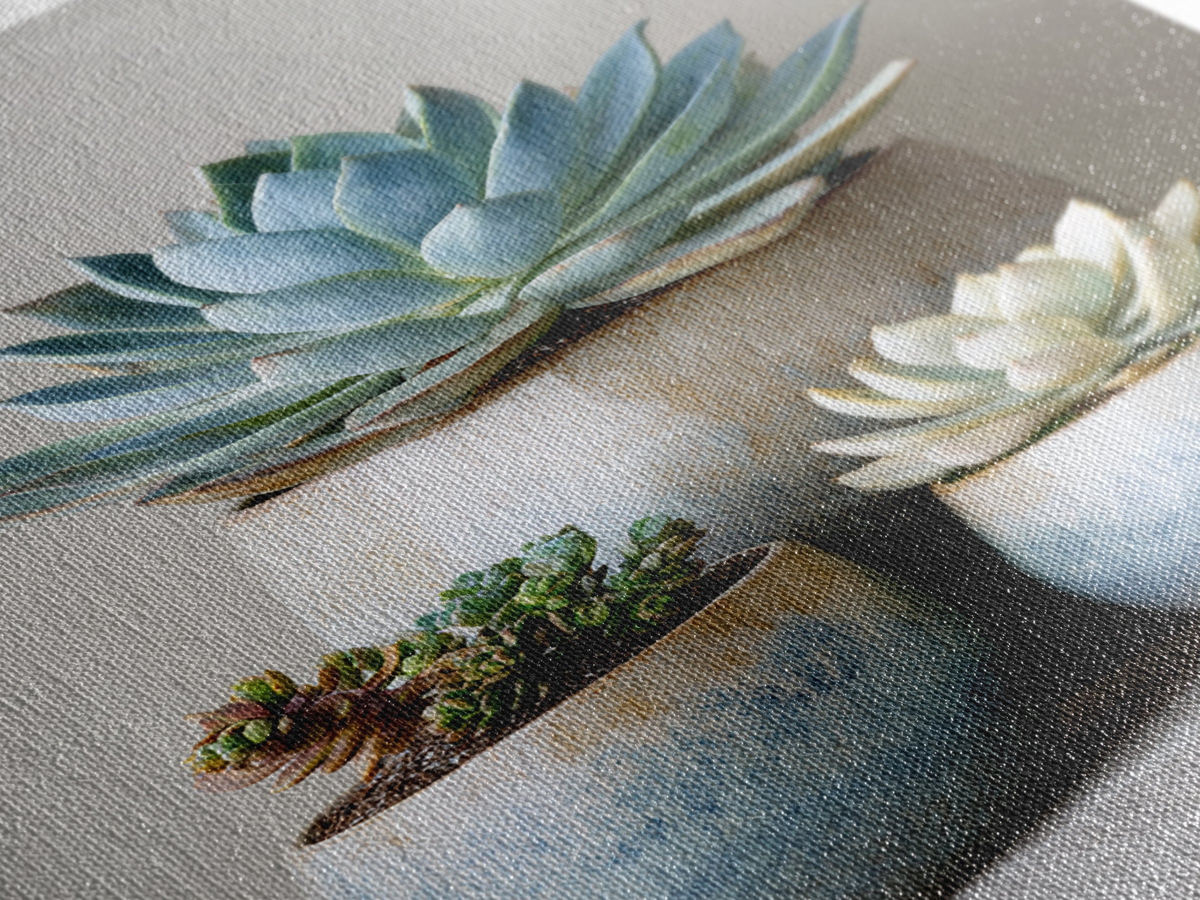 Succulent Collection in Ceramic Planters Canvas Print, Patio Art, Outdoor Wall Decor, Patio Decor, Fine Art, Outdoor, PAT-2x3-77