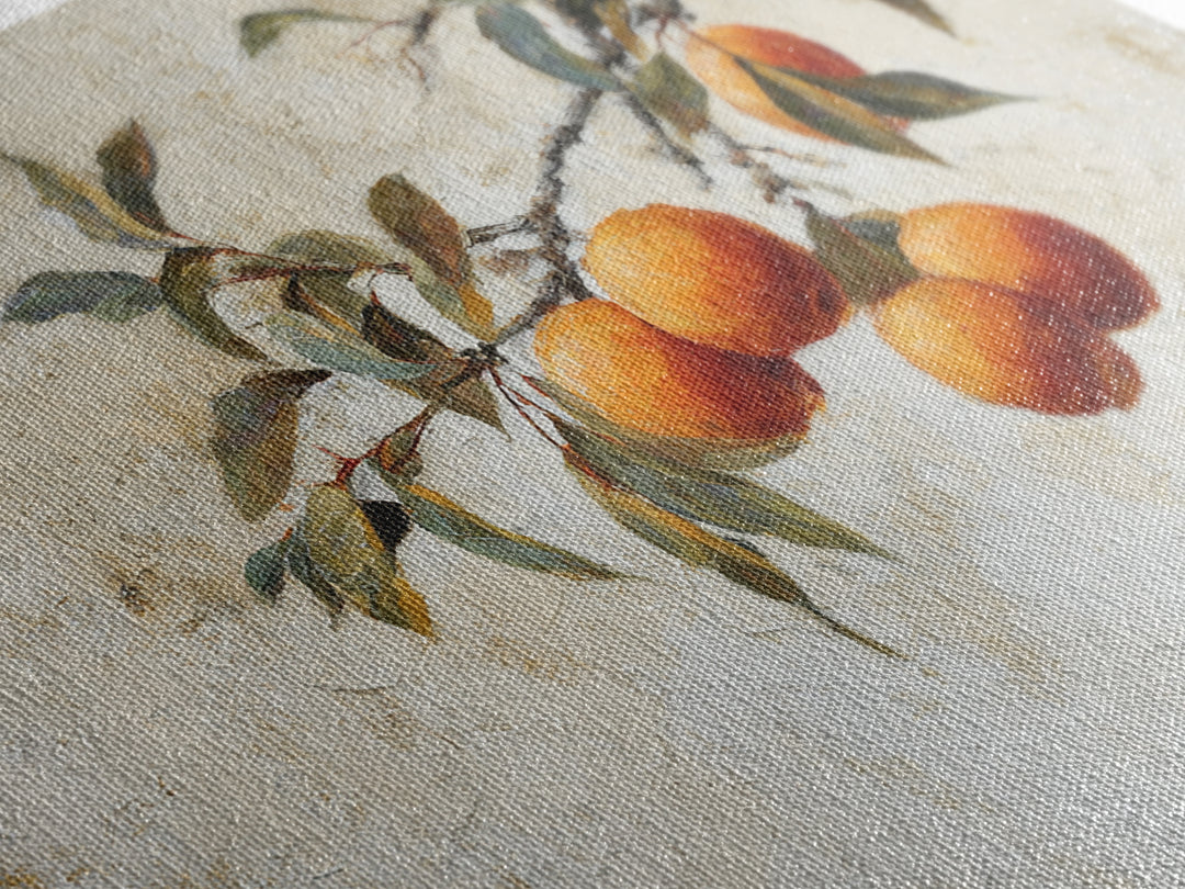Orange Tree Branch Canvas Print, Patio Art, Western Decor, Patio Decor, Fine Art, Outdoor, Floral Art, Lake House Decor, PAT-3x2-26