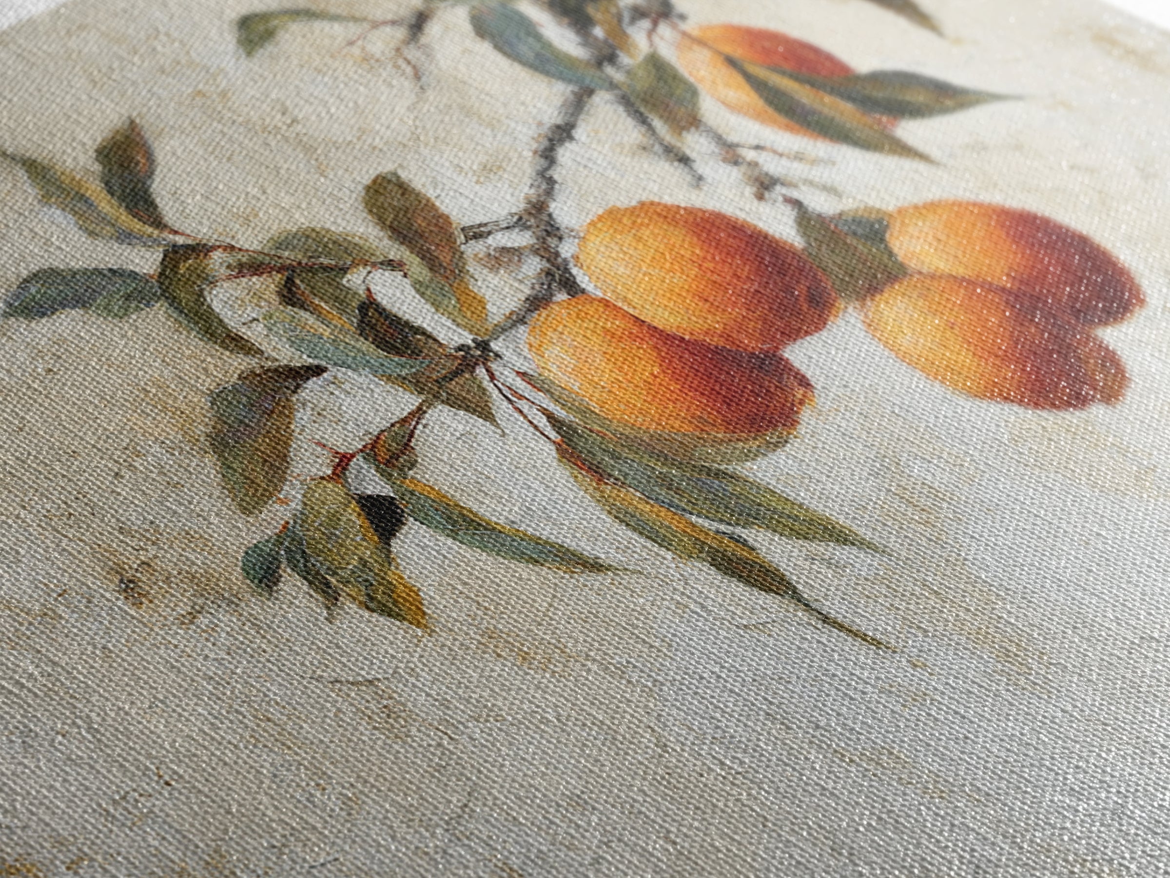 Orange Tree Branch Canvas Print, Patio Art, Western Decor, Patio Decor, Fine Art, Outdoor, Floral Art, Lake House Decor, PAT-3x2-26