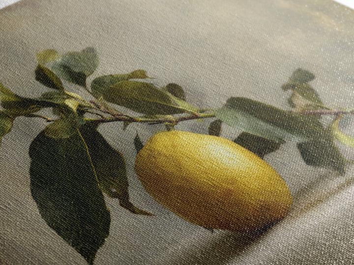 Outdoor Citrus Still Life Canvas Print, Patio Art, Beach House Decor, Patio Decor, Outdoor, Modern Decor, Fine Art Print, PAT-3x2-33