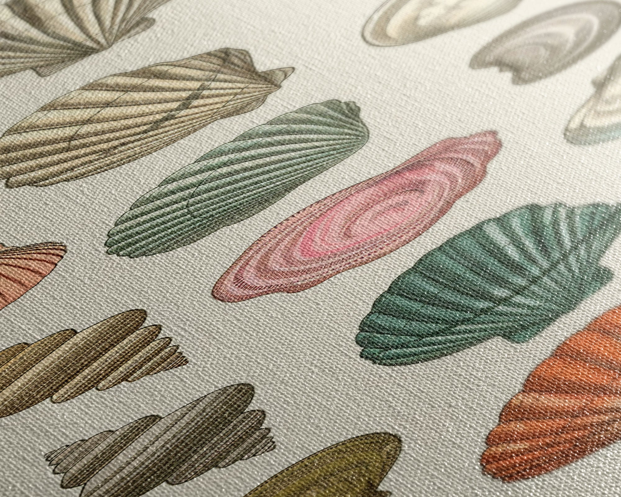 Elegant Sea Shell Collection in Vintage Style on Tall Vertical Canvas Print Perfect for Coastal-Themed Wall Decor