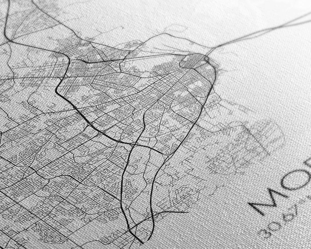 Mobile Street Map, Alabama Map, City Map Art, Modern Art, Wall Art, Canvas Print, Farmhouse Bedroom Art, Mother In Law Gift, Travel Art