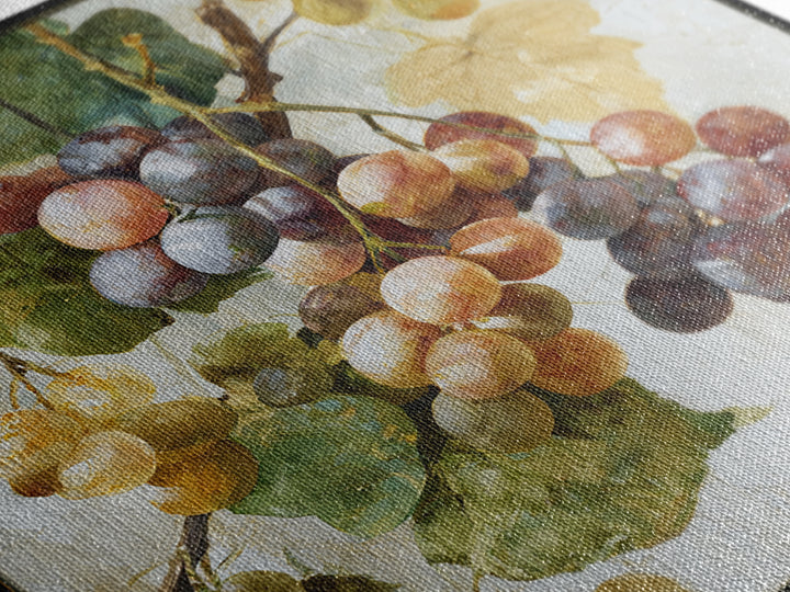 Wine Grapevine Botanical Study Framed Canvas Print, Restaurant Art, Neutral Decor, Restaurant Decor, Oil Painting, Bistro, RES-1x1-63