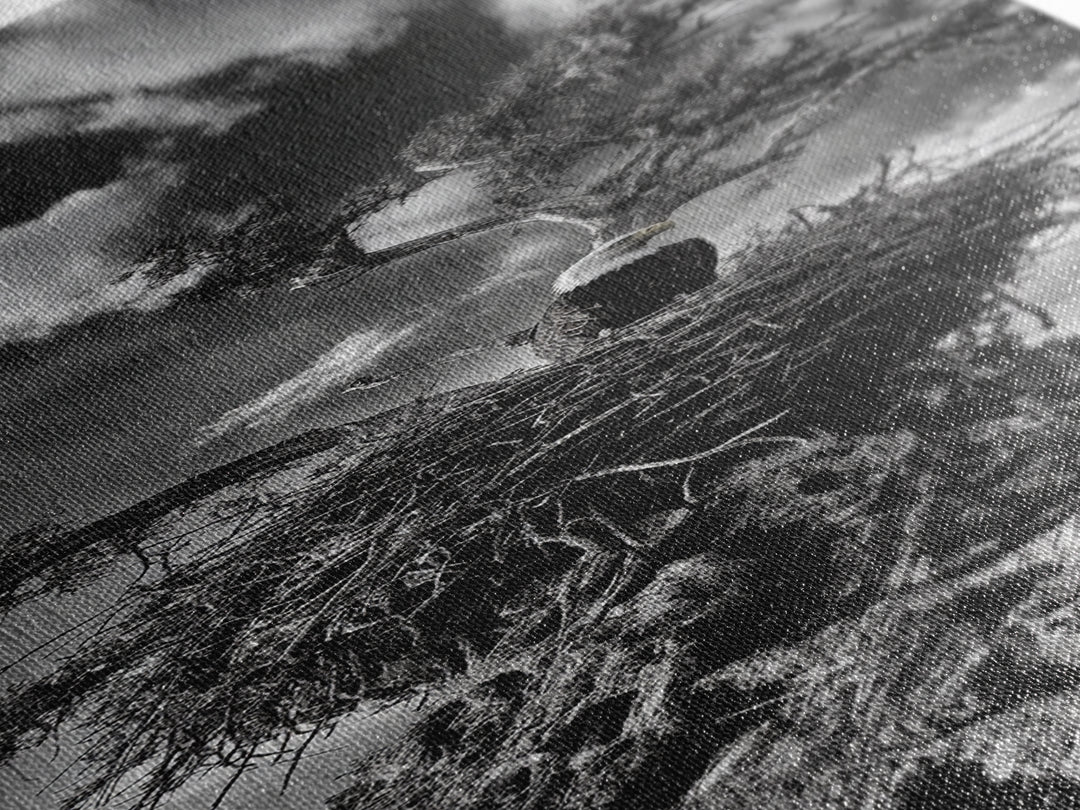 Bald Eagle Nest ,Framed Canvas Print, bird art, moody art, rustic décor, farmhouse art, gift idea, southwest wall art, landscape painting