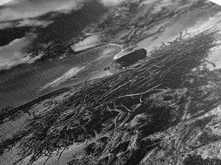 Bald Eagle Nest ,Framed Canvas Print, bird art, moody art, rustic décor, farmhouse art, gift idea, southwest wall art, landscape painting