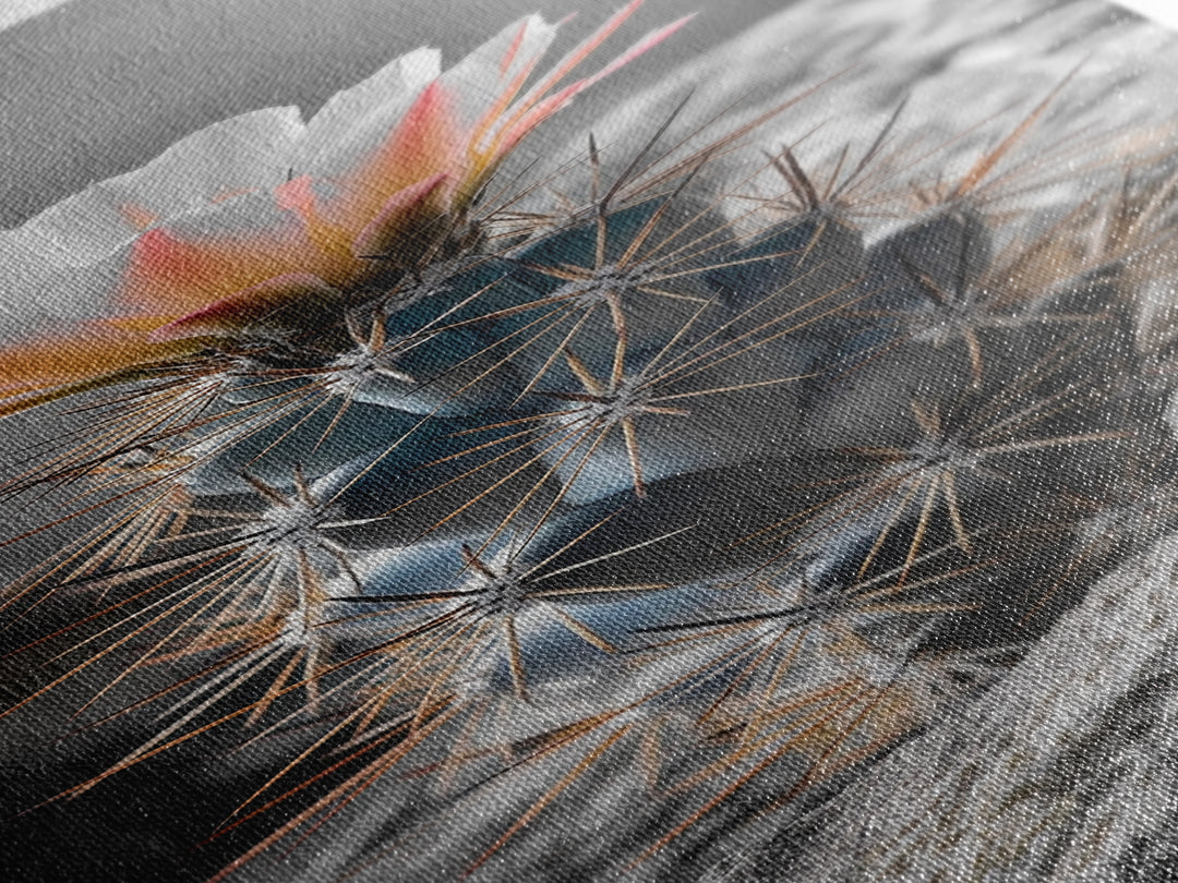 Cactus Bloom Desert Art Framed Canvas Print | Southwest Wall Art | Wildflower Painting | Botanical Prints | Boho Art | Nature Decor | Gift Idea