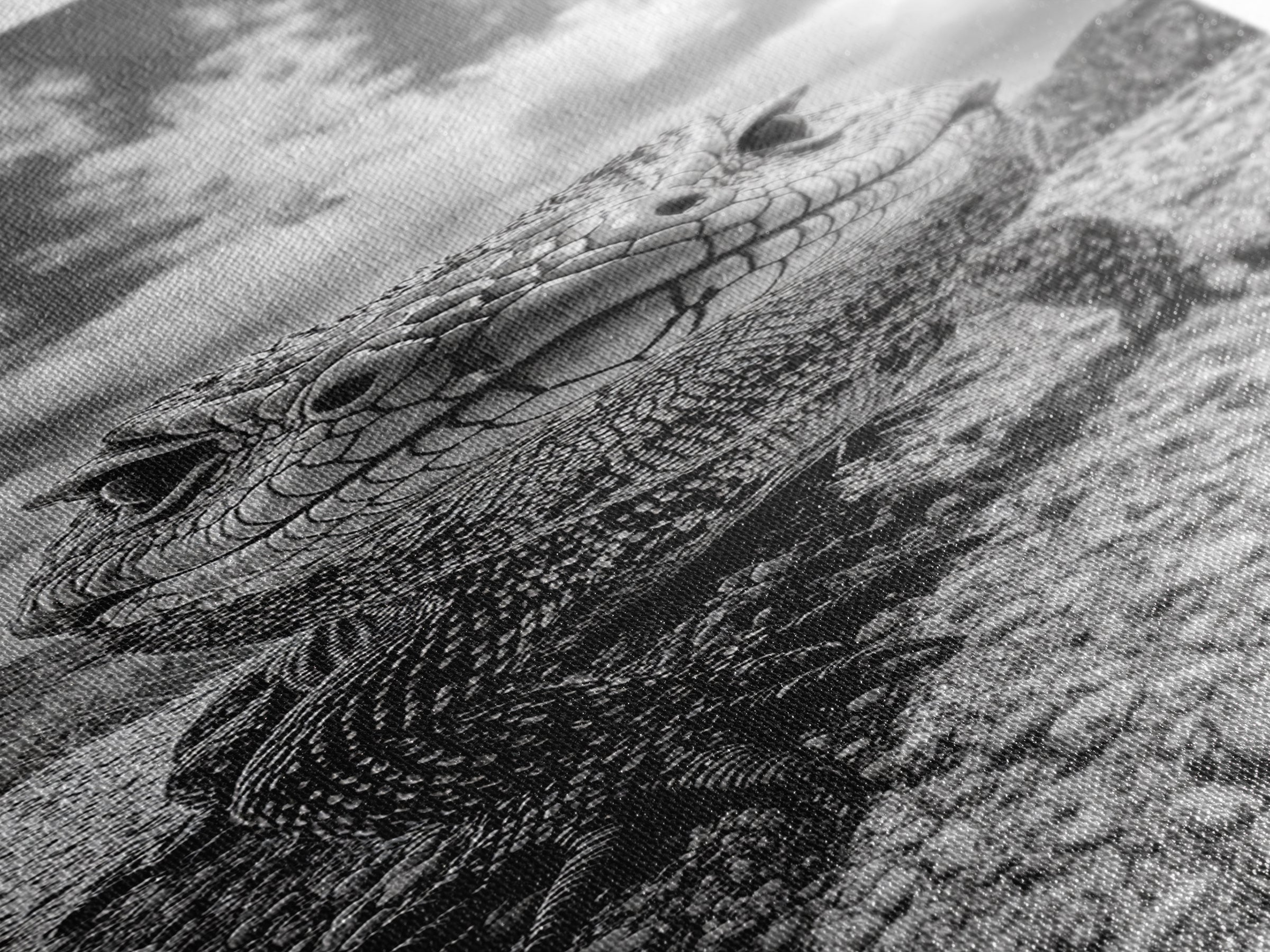 Lizard Close-Up, Framed Canvas Print, wildlife photography, rustic wall art, southwest wall art, desert animal art, black and white home decor