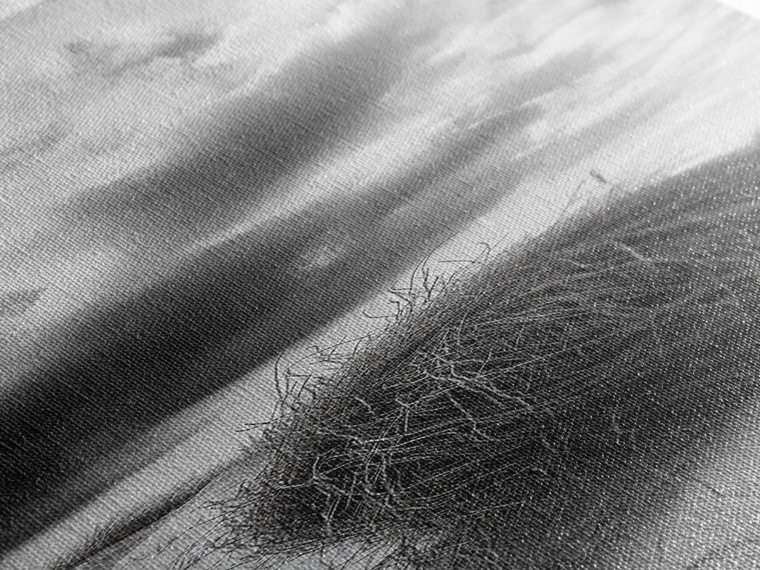 Tumbleweed Desert,Canvas Print, Rustic Southwest Wall Art, Moody Landscape Art, Extra Wide Art, Above Sofa Art, Farmhouse Decor