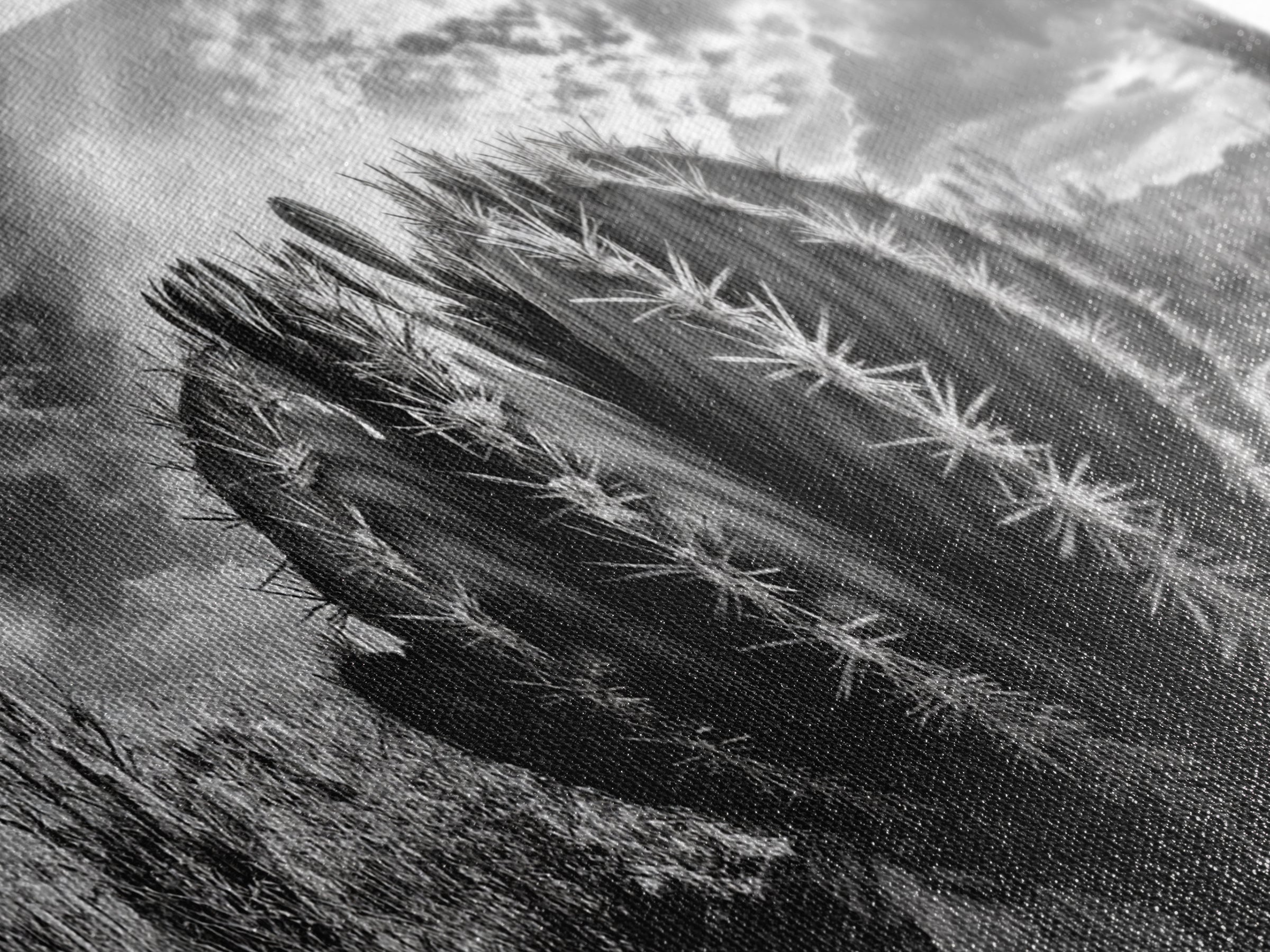 Desert Cactus, southwest wall art, Joshua tree art, rustic art, landscape painting, desert decor, panoramic art, Canvas Print