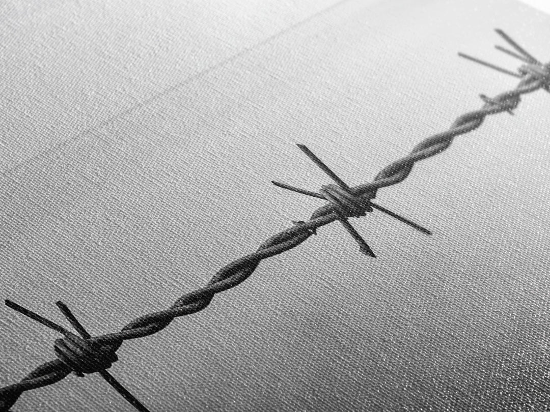 Barbed Wire, rustic decor, farmhouse art, minimalist black and white, modern wabi sabi wall art, textured art, panoramic art, Canvas Print