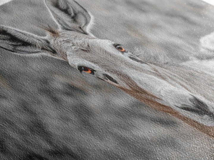 Donkey Close-Up Framed Canvas Print | Rustic Farmhouse Art | Moody Animal Portrait | Southwest Wall Art | Extra Wide Art | Above Couch Decor