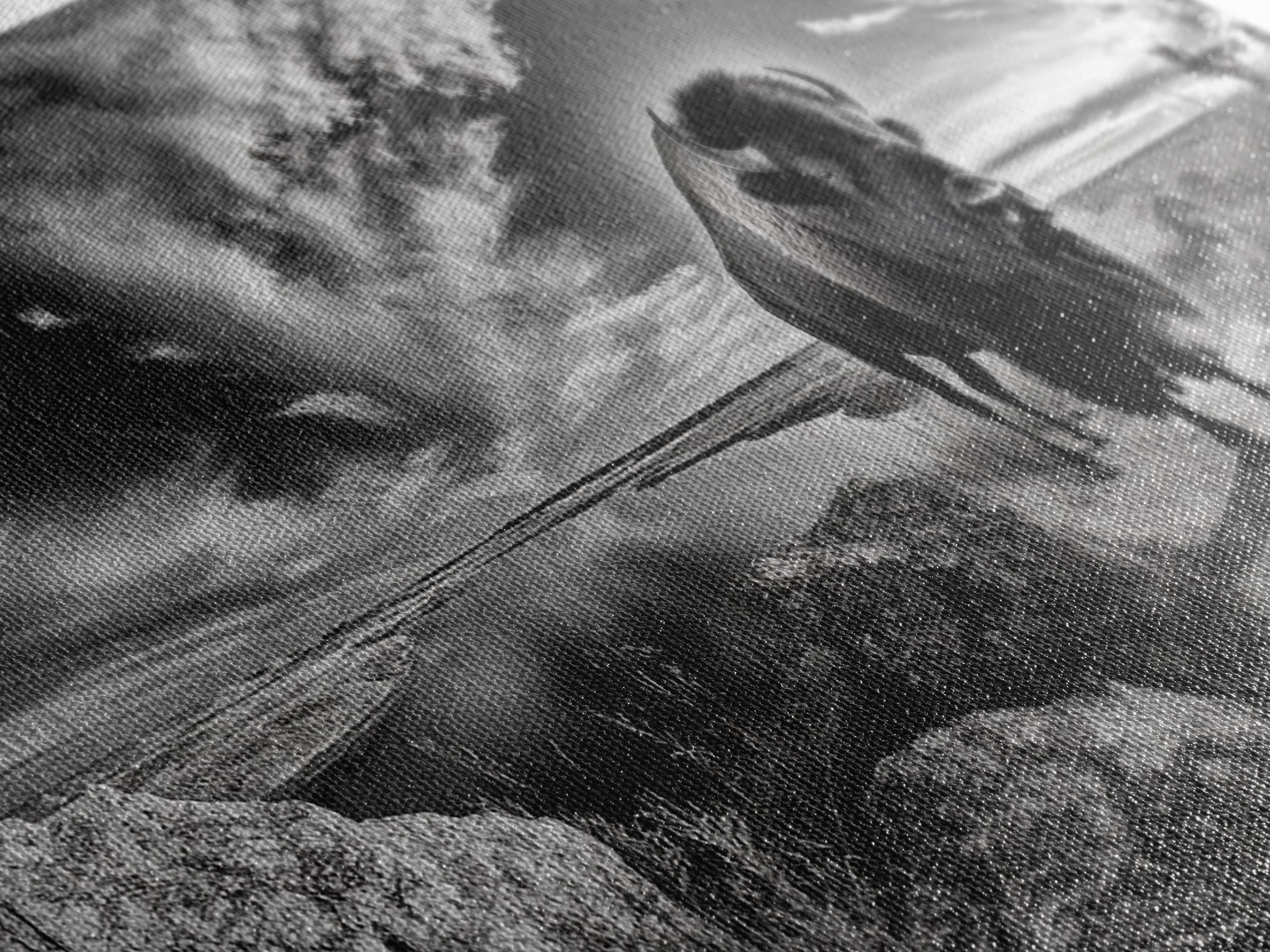 Bison Landscape, Southwest Wall Art, Rustic Wall Art, Moody Art, Panoramic Art, Extra Wide Art, Nature Wall Art, Framed Canvas Print