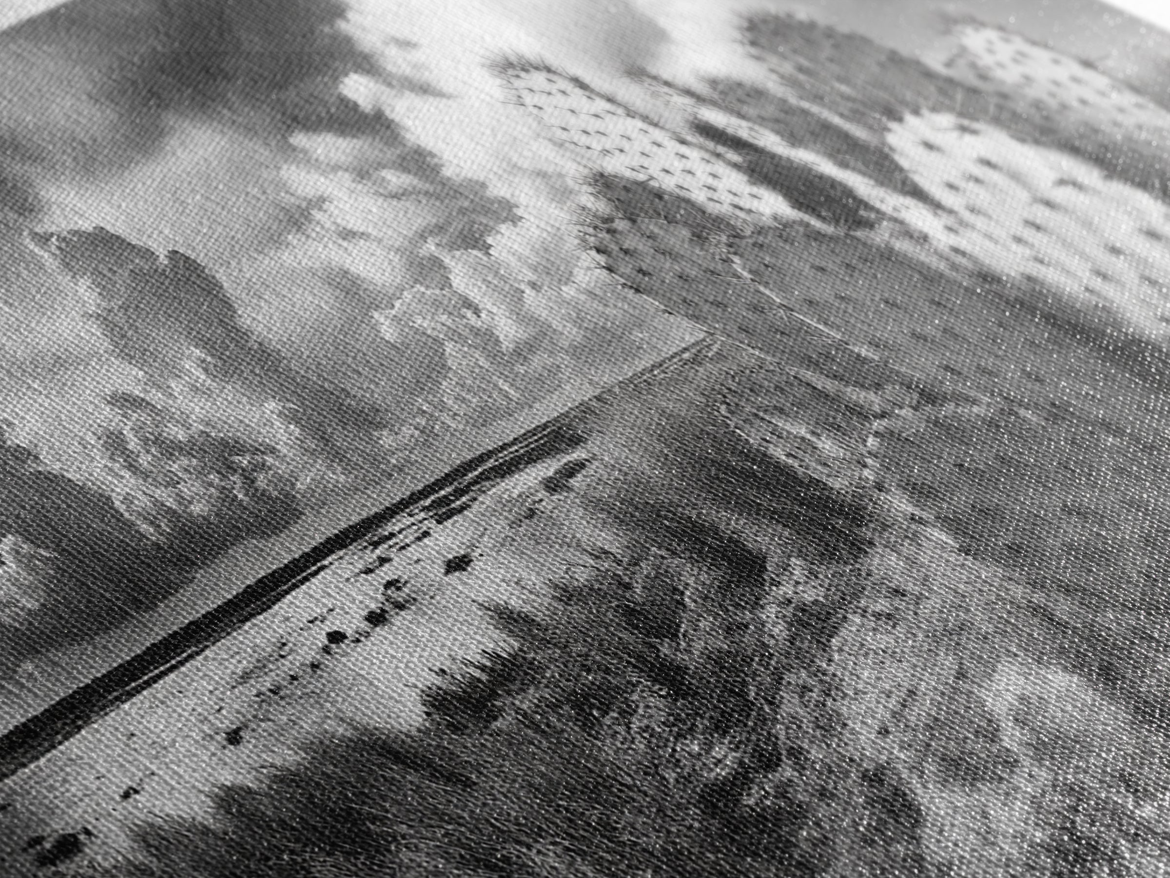 Desert Landscape, Joshua tree art, rustic decor, botanical prints, scenic view, panoramic art, southwest wall art, Canvas Print