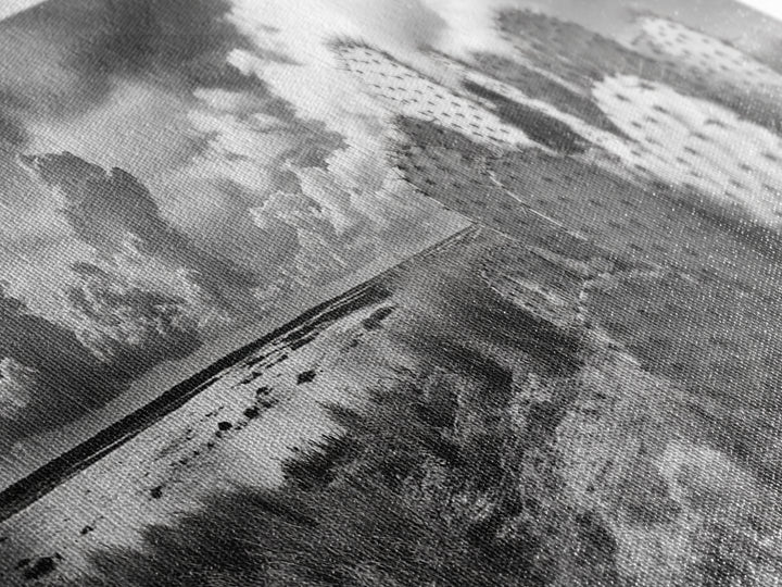 Desert Landscape, Joshua tree art, rustic decor, botanical prints, scenic view, panoramic art, southwest wall art, Canvas Print